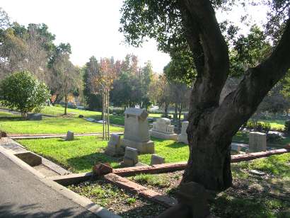 Thomas Plot